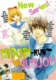 Truyện tranh Midori-Kun Wa Junjou