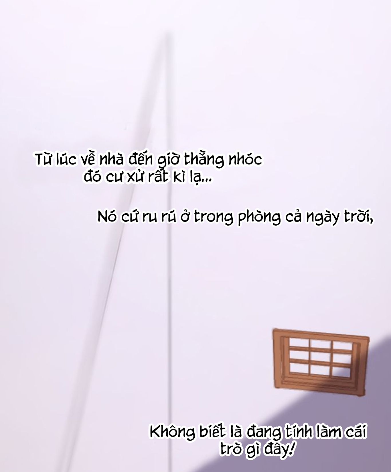 Thế giới của một chú mèo Chapter 8 - Trang 2