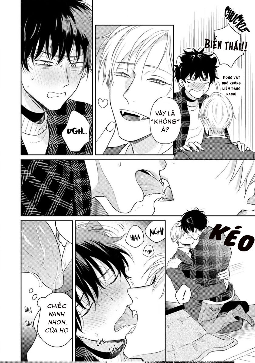 To Make A Delicious Omega Squeak (Hanasawa Namio) Chapter 3 - Trang 3