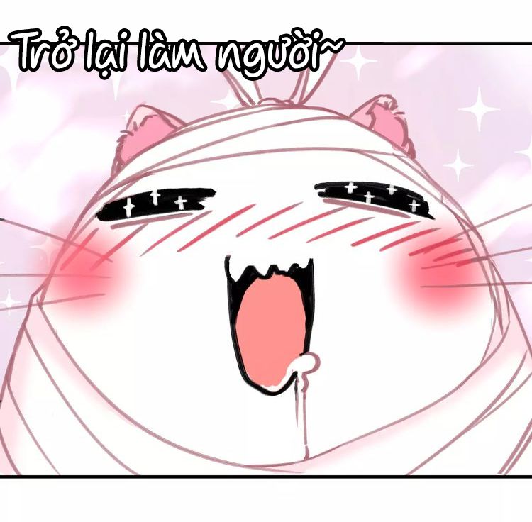 Thế giới của một chú mèo Chapter 3 - Trang 2