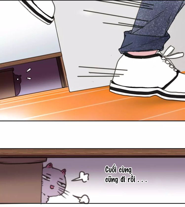 Thế giới của một chú mèo Chapter 2 - Trang 2