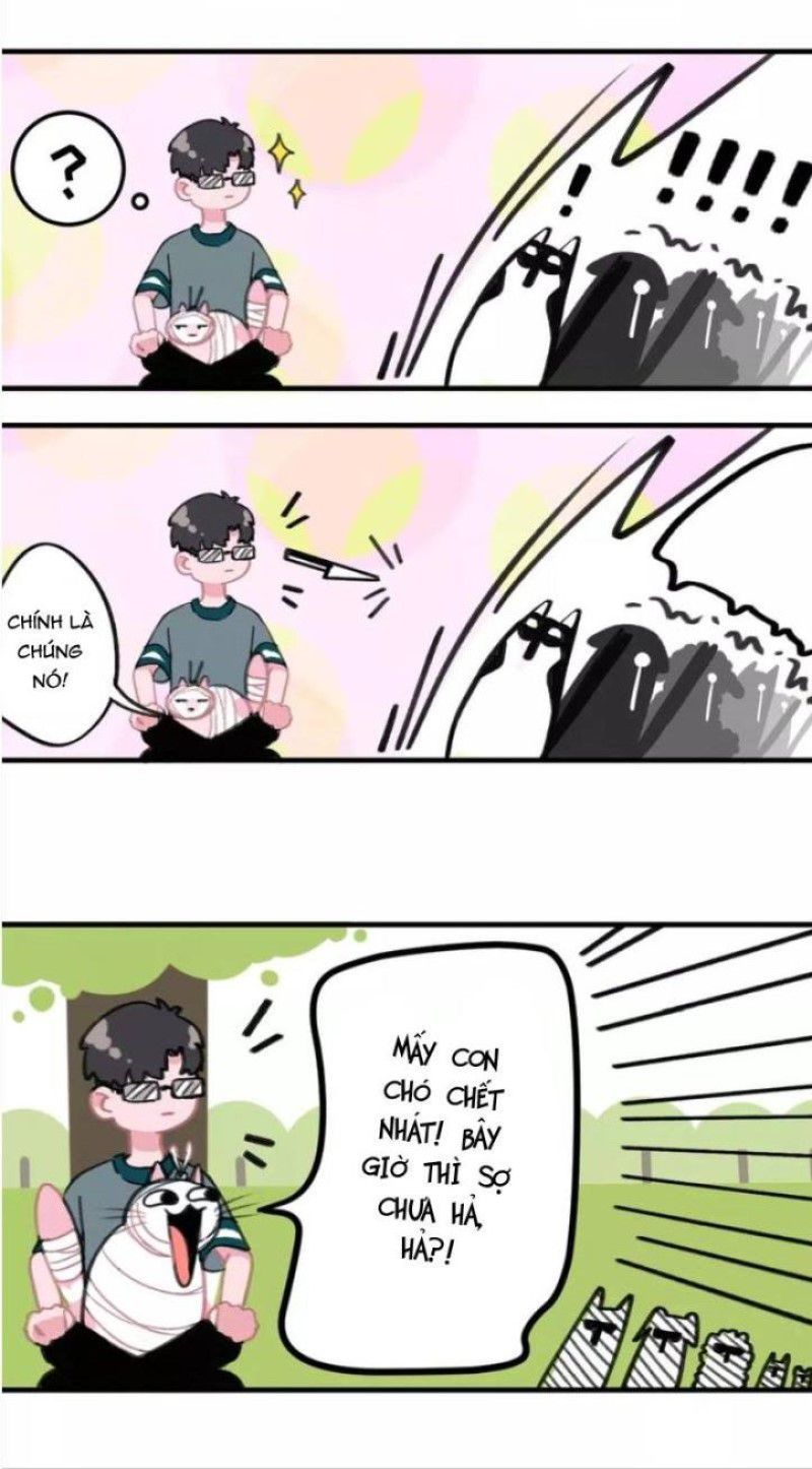Thế giới của một chú mèo Chapter 5 - Trang 2