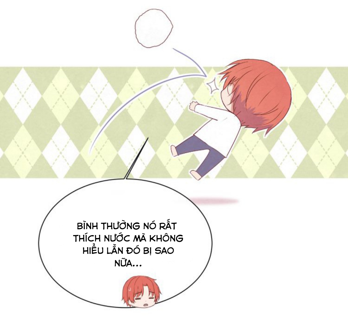 Vết rượu ngọt ngào Chapter 11 - Next Chapter 12