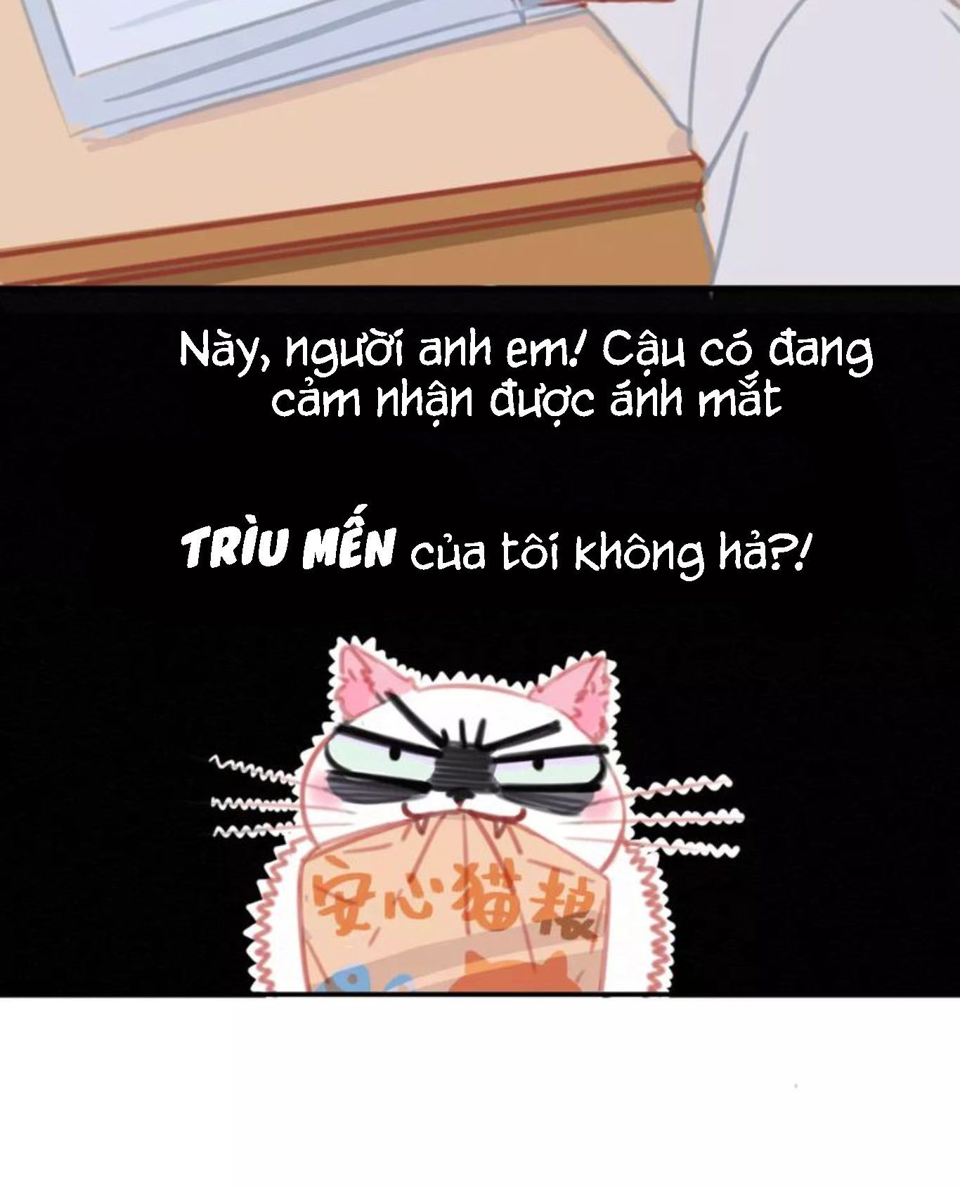 Thế giới của một chú mèo Chapter 6 - Trang 2