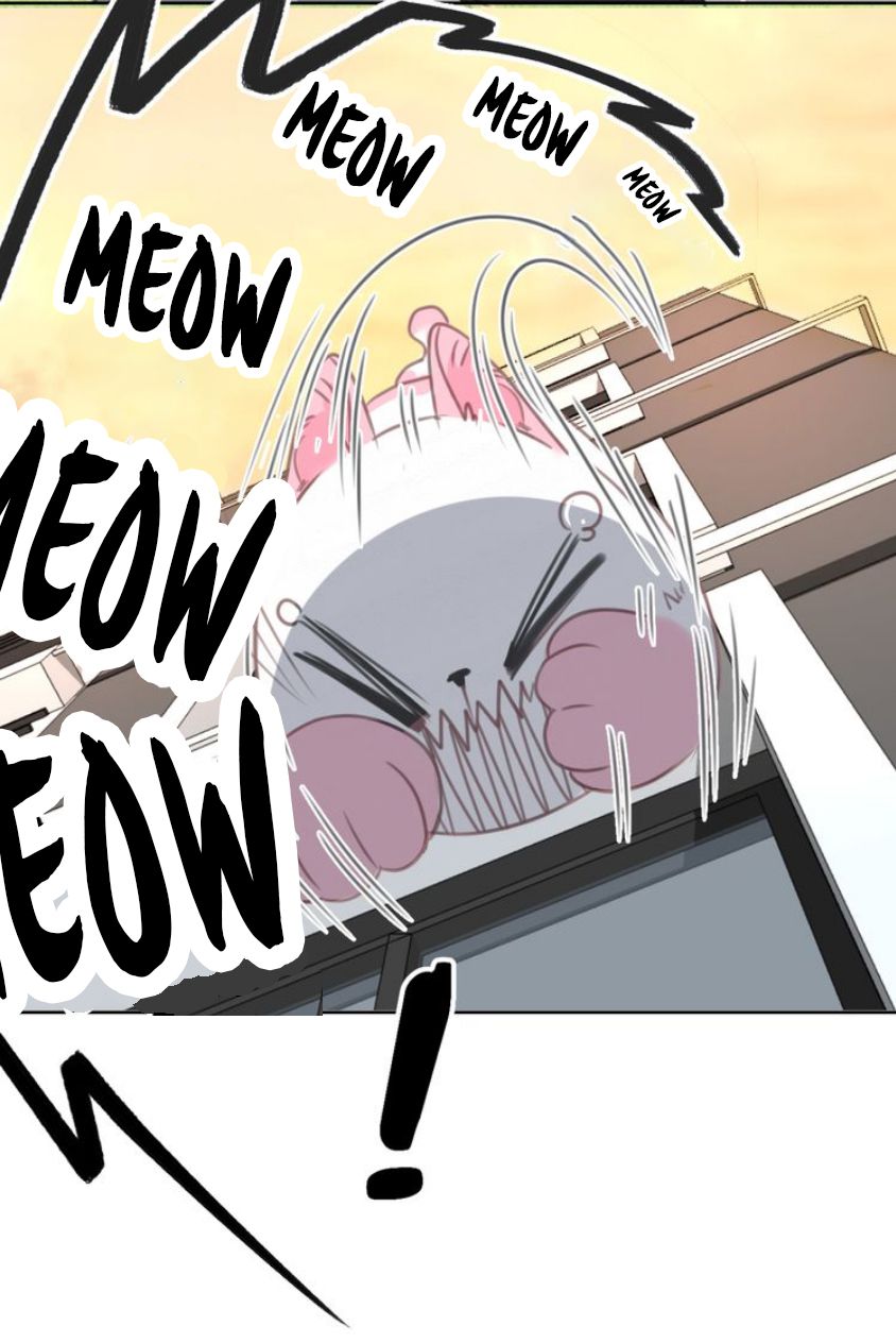 Thế giới của một chú mèo Chapter 12 - Trang 2
