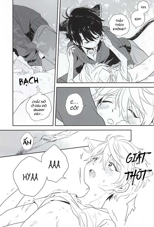 Hai Kẻ Đơn Độc Chapter 0 - Trang 3