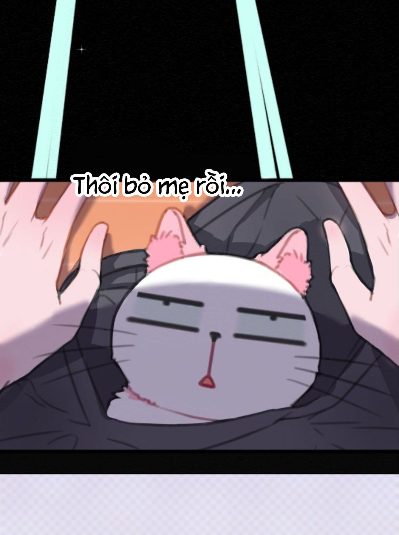 Thế giới của một chú mèo Chapter 7 - Trang 2