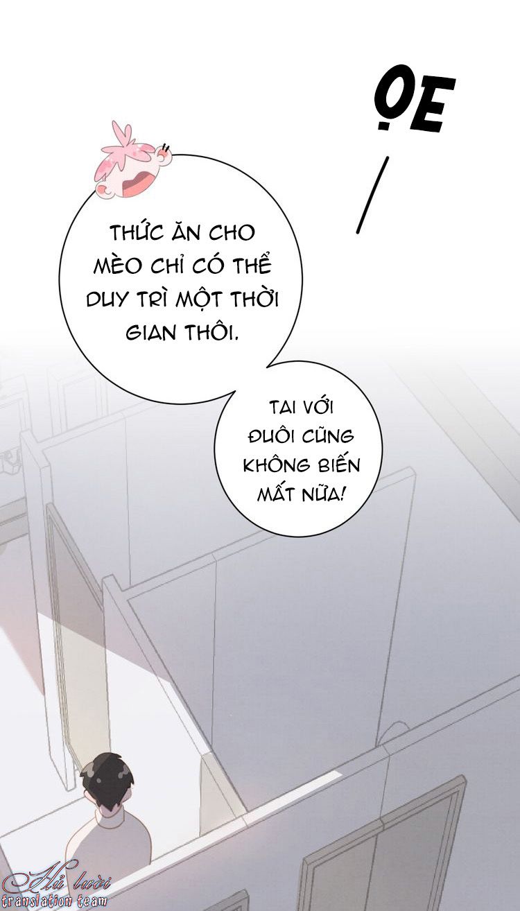 Thế giới của một chú mèo Chapter 19 - Trang 2