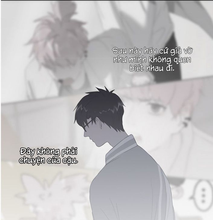 Thế giới của một chú mèo Chapter 11 - Trang 2