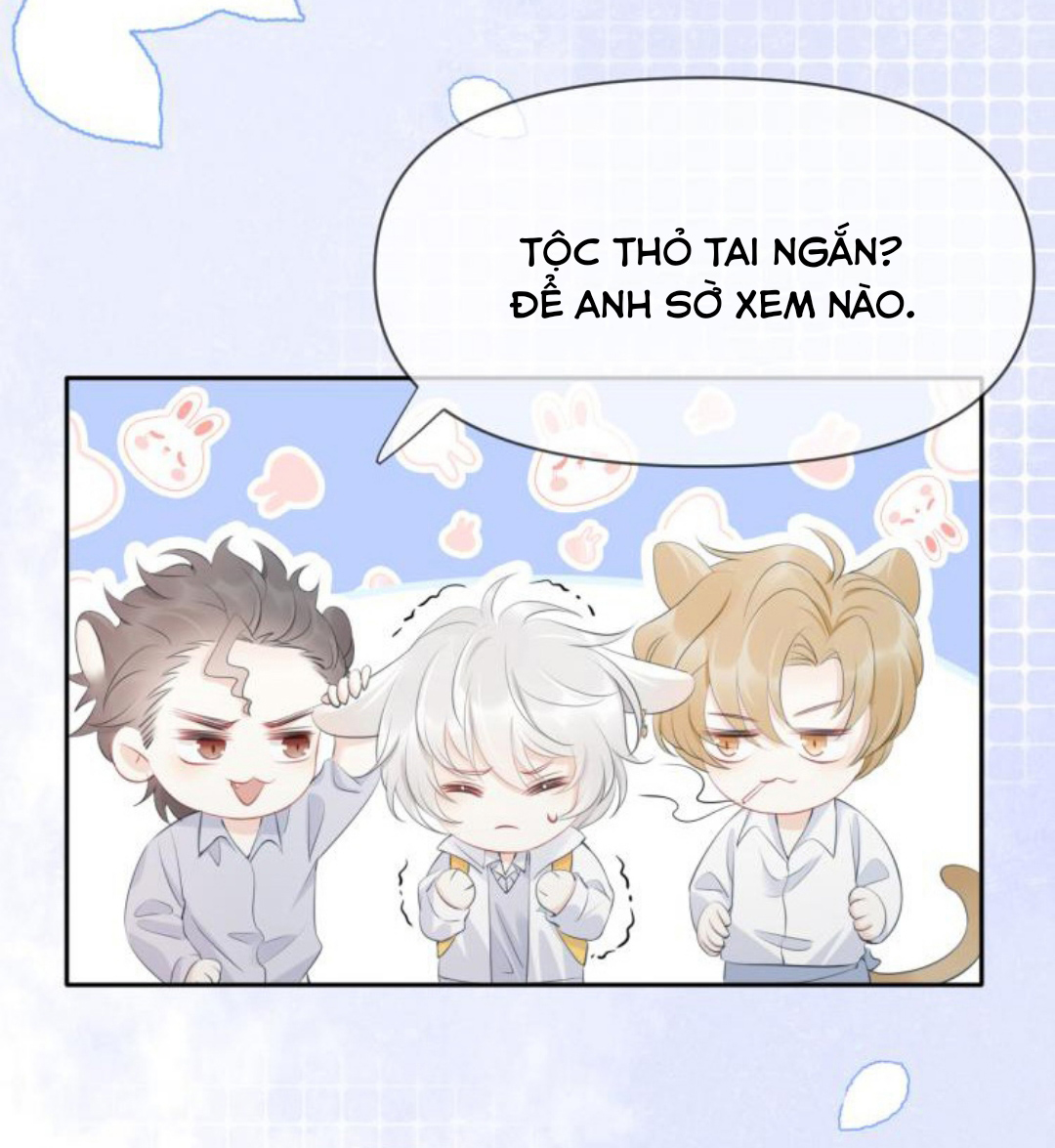 Một Ngụm Ăn Cả Thỏ Con Chapter 1 - Trang 3