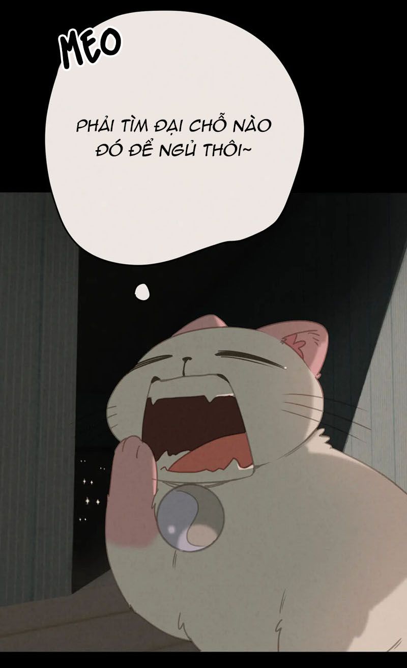 Thế giới của một chú mèo Chapter 27 - Trang 2