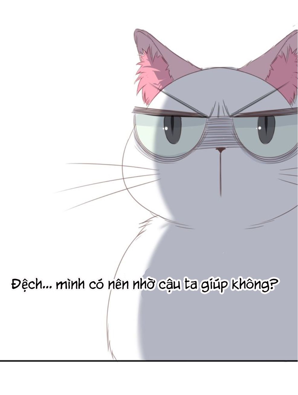 Thế giới của một chú mèo Chapter 13 - Trang 2