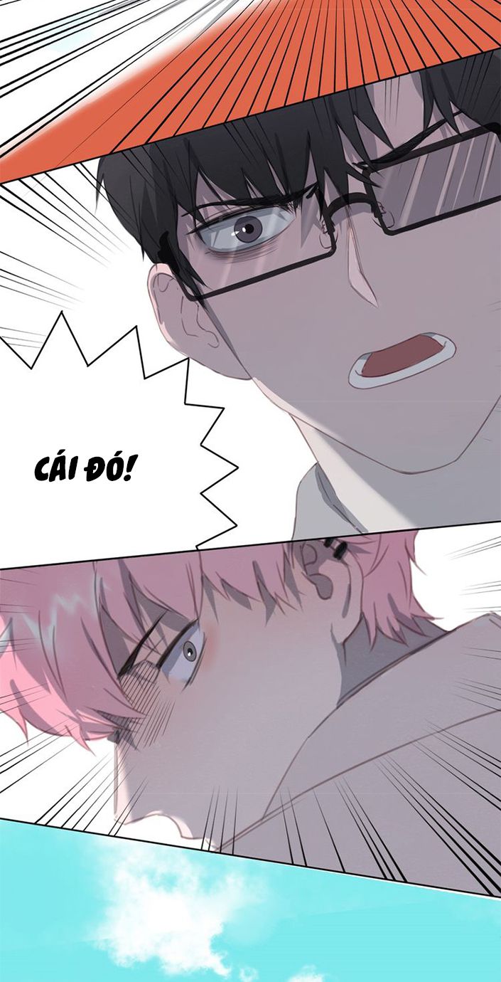 Thế giới của một chú mèo Chapter 11 - Trang 2