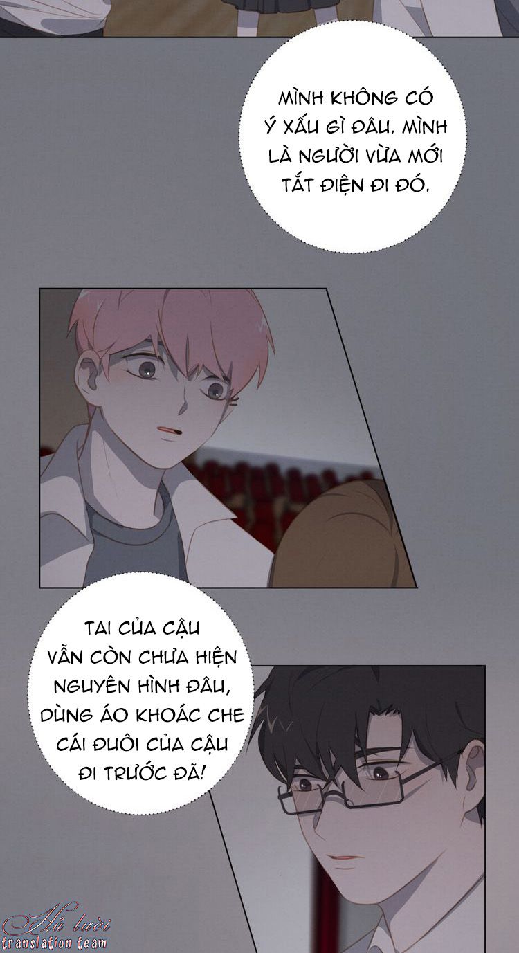 Thế giới của một chú mèo Chapter 19 - Trang 2