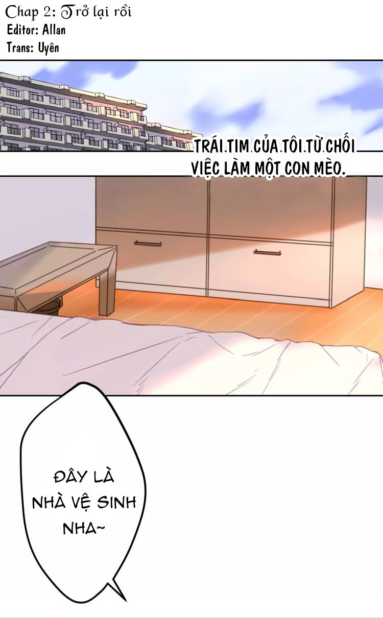 Thế giới của một chú mèo Chapter 2 - Trang 2