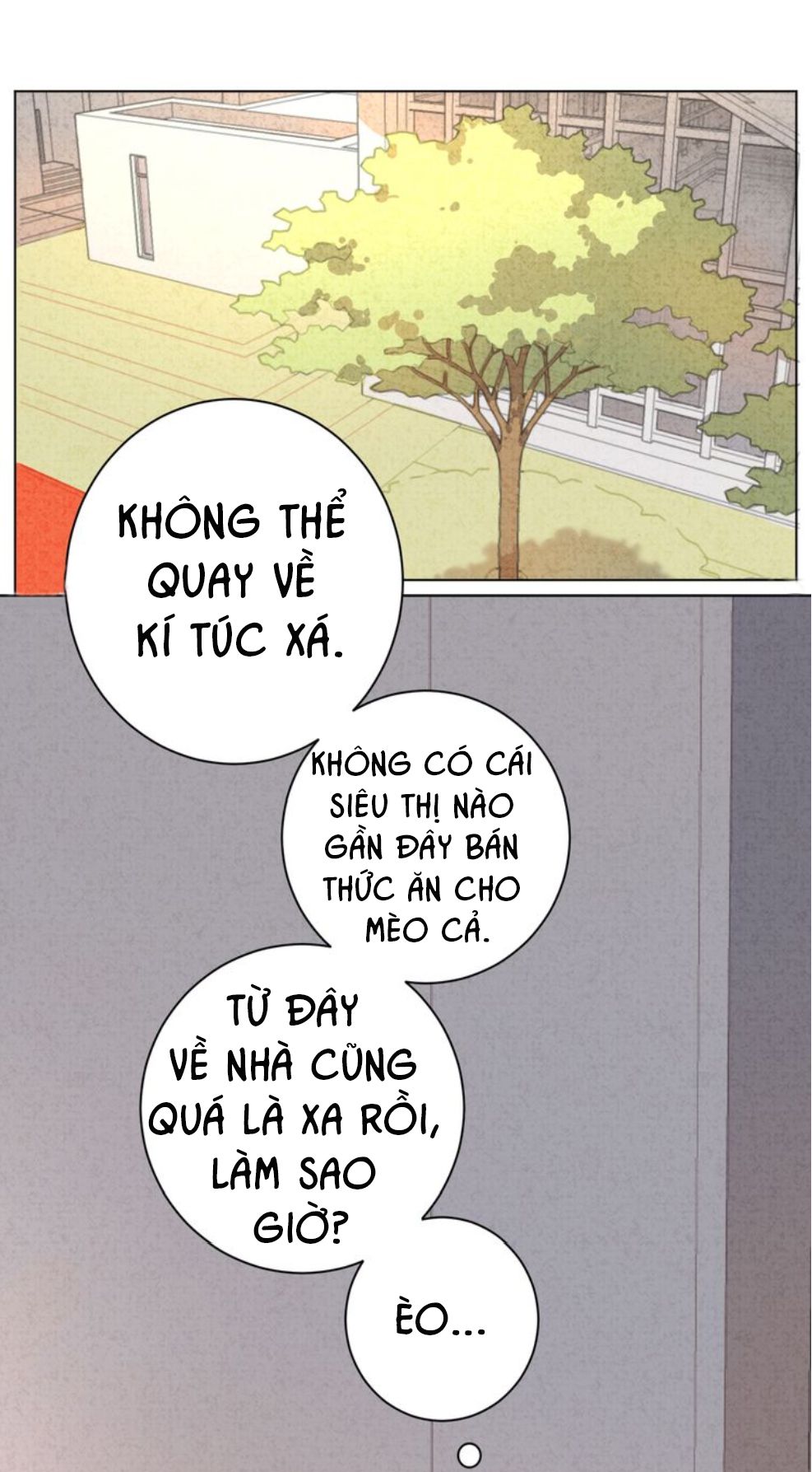 Thế giới của một chú mèo Chapter 13 - Trang 2