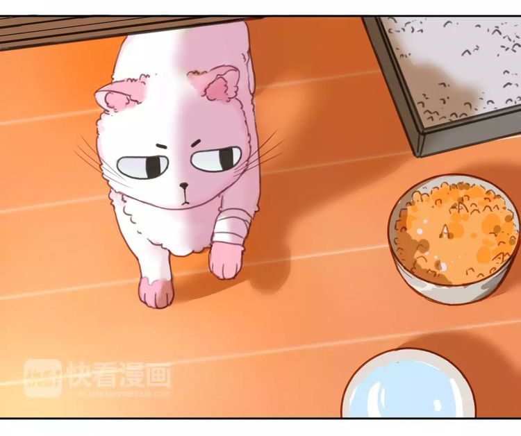 Thế giới của một chú mèo Chapter 2 - Trang 2