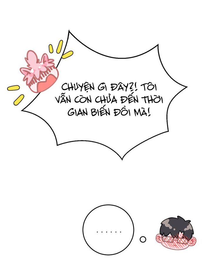 Thế giới của một chú mèo Chapter 11 - Trang 2