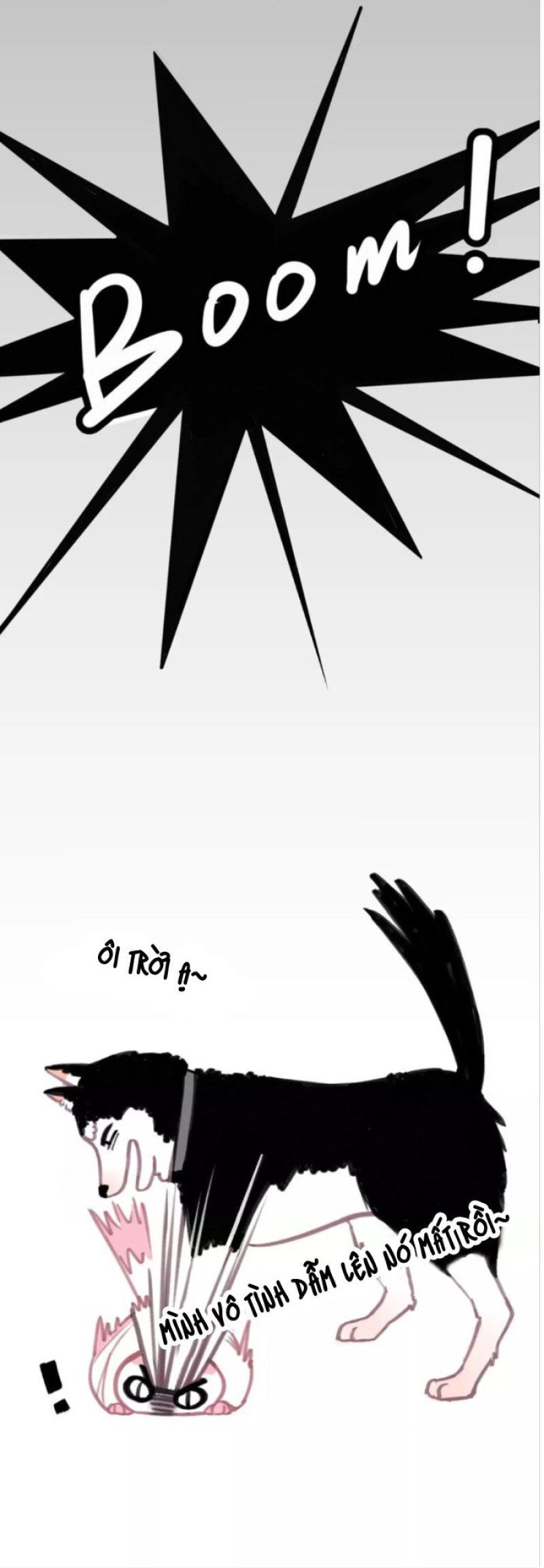 Thế giới của một chú mèo Chapter 5 - Trang 2