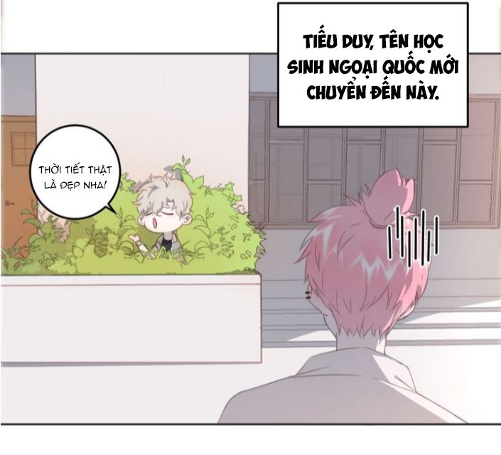 Thế giới của một chú mèo Chapter 11 - Next Chapter 12