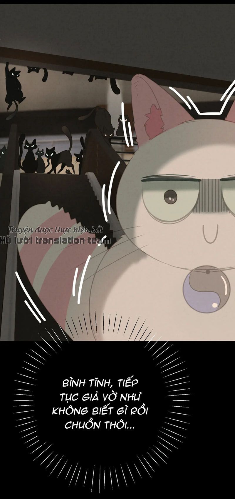 Thế giới của một chú mèo Chapter 27 - Trang 2