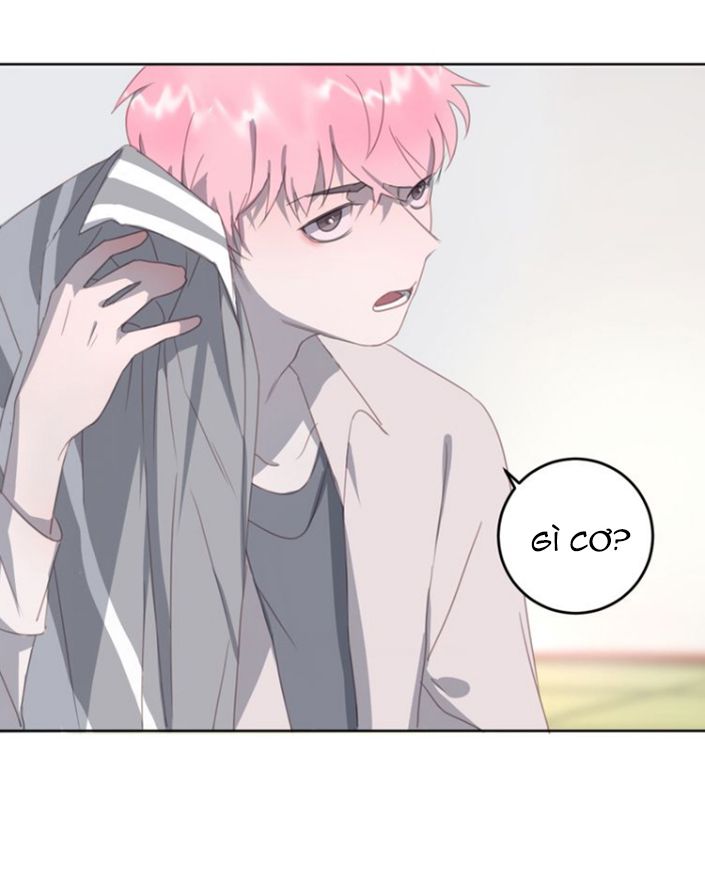 Thế giới của một chú mèo Chapter 11 - Trang 2