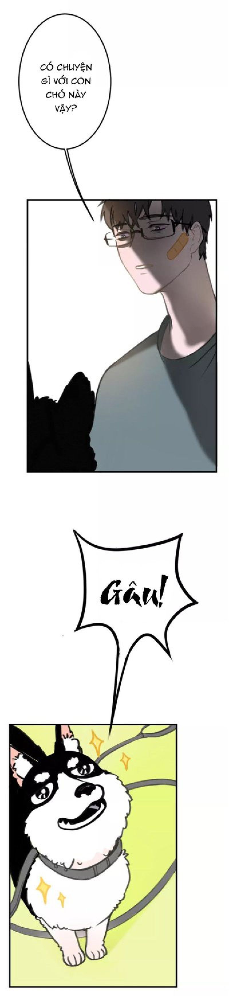 Thế giới của một chú mèo Chapter 5 - Trang 2