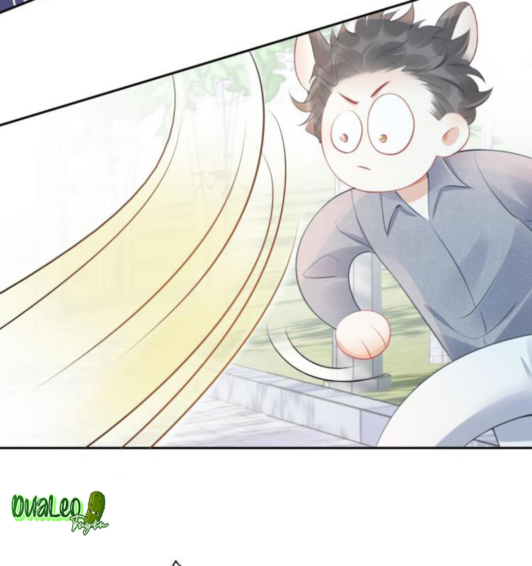 Một Ngụm Ăn Cả Thỏ Con Chapter 1 - Trang 3