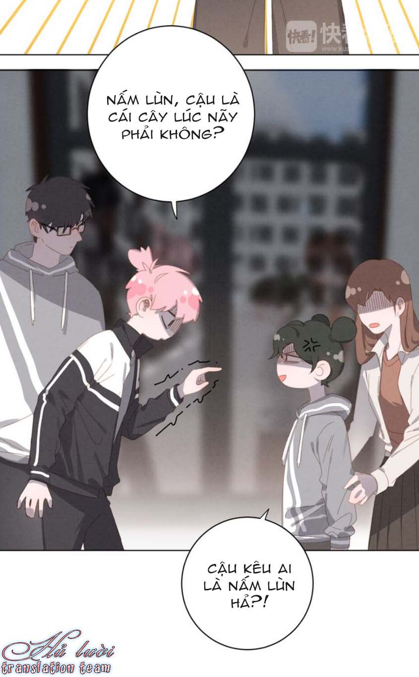 Thế giới của một chú mèo Chapter 23 - Trang 2