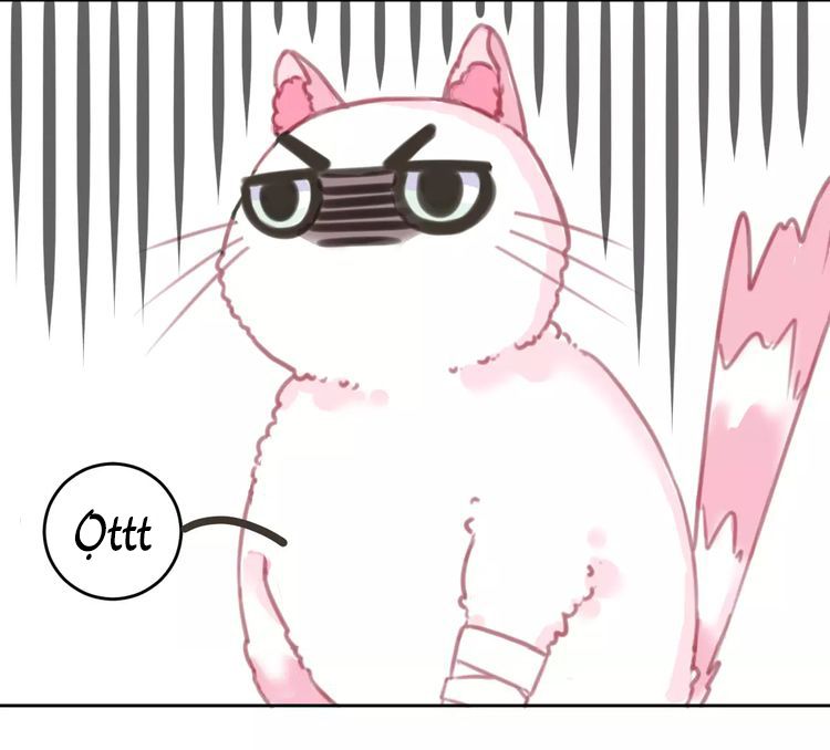 Thế giới của một chú mèo Chapter 2 - Trang 2