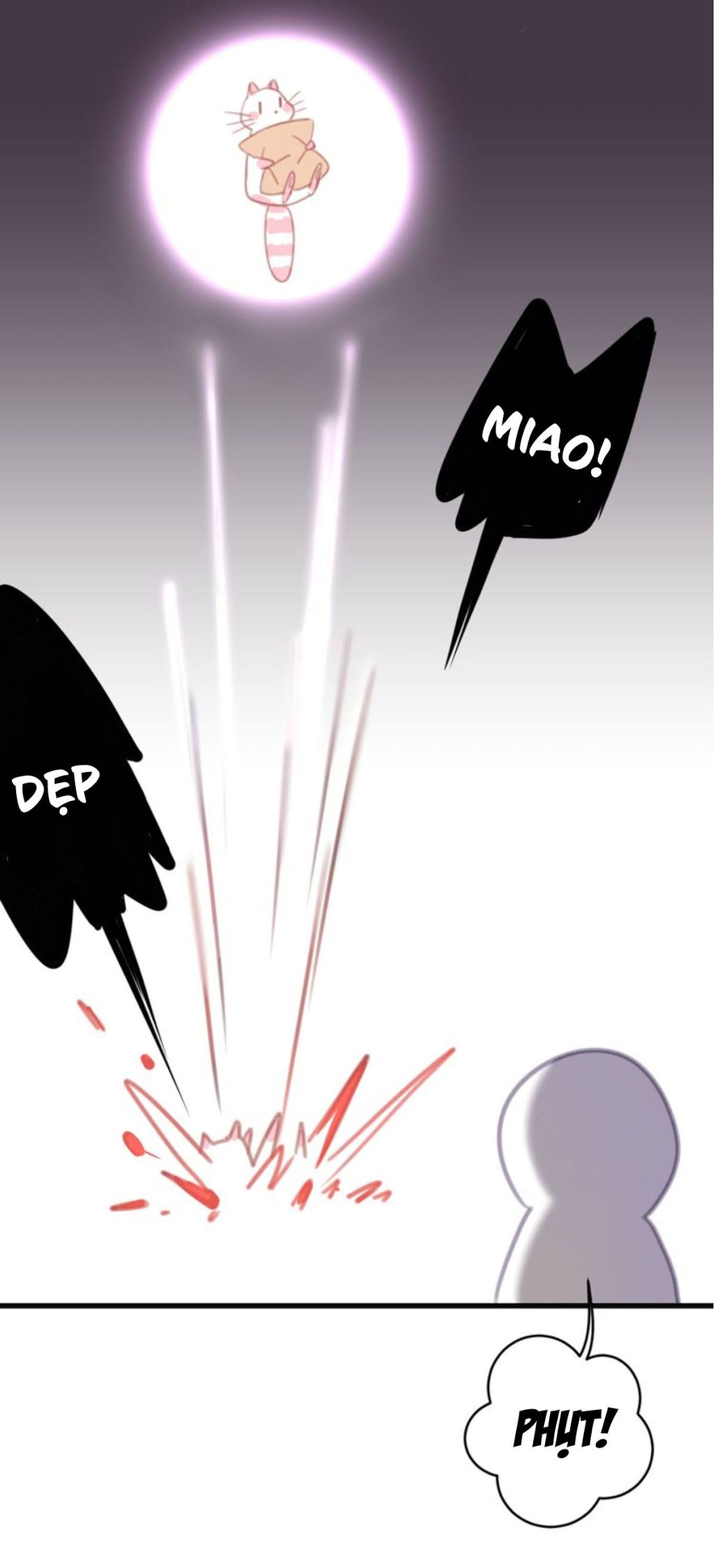 Thế giới của một chú mèo Chapter 7 - Trang 2