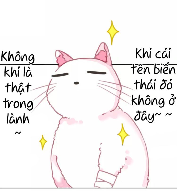 Thế giới của một chú mèo Chapter 2 - Trang 2