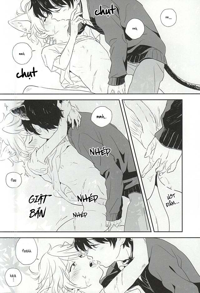 Hai Kẻ Đơn Độc Chapter 0 - Trang 3