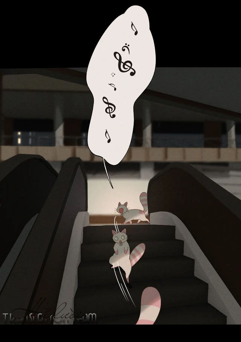Thế giới của một chú mèo Chapter 27 - Trang 2