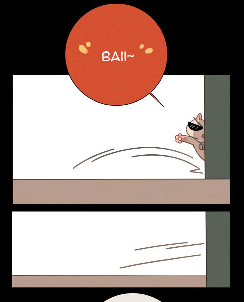 Thế giới của một chú mèo Chapter 27 - Trang 2