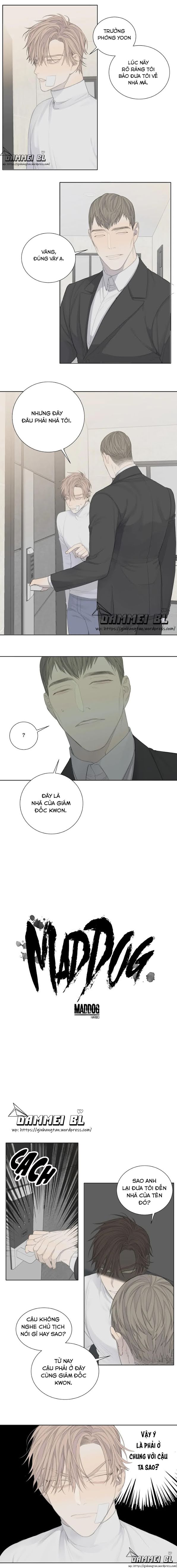 Chó Điên Chapter 4 - Trang 2