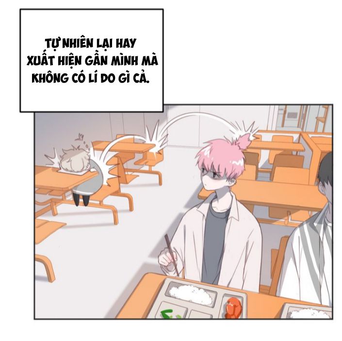 Thế giới của một chú mèo Chapter 11 - Trang 2