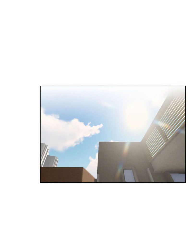 Thế giới của một chú mèo Chapter 27 - Trang 2