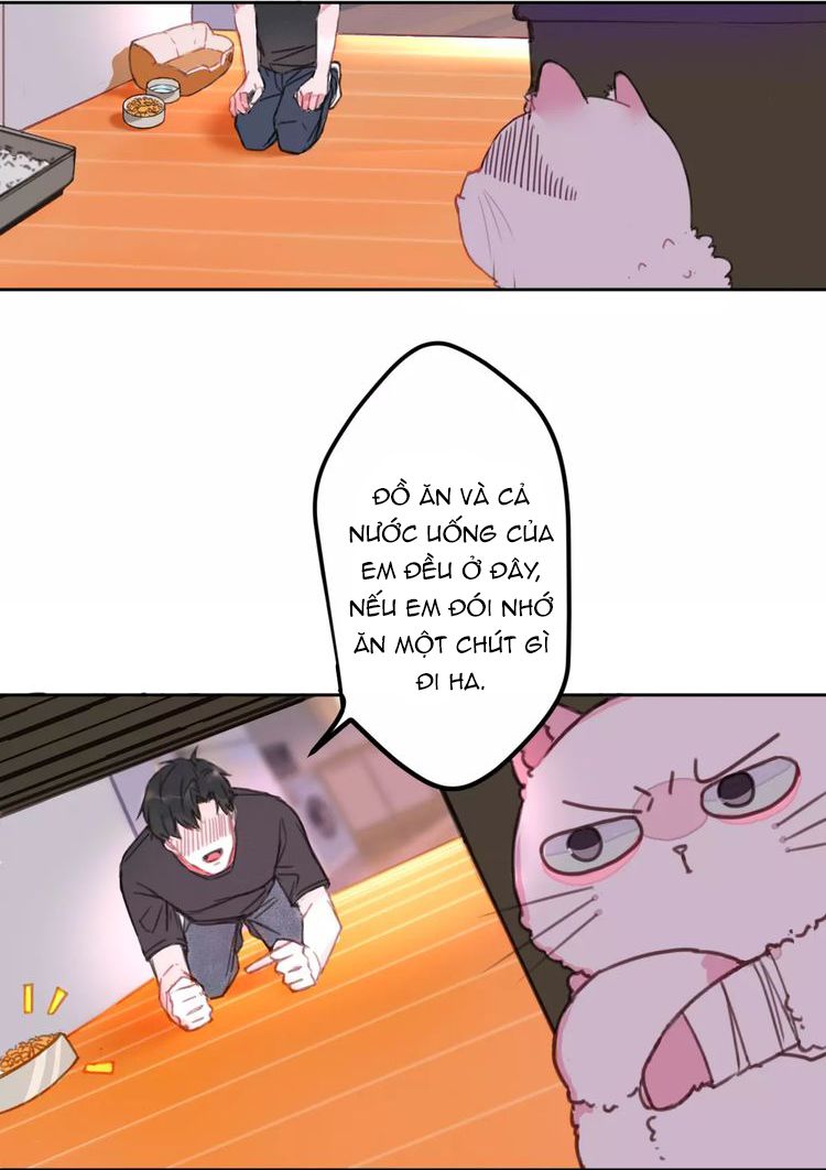 Thế giới của một chú mèo Chapter 2 - Trang 2