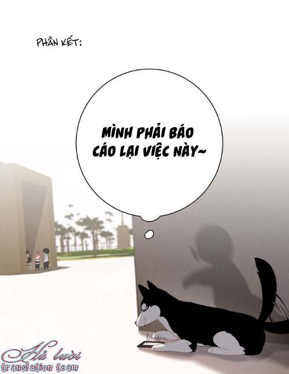 Thế giới của một chú mèo Chapter 22 - Trang 2