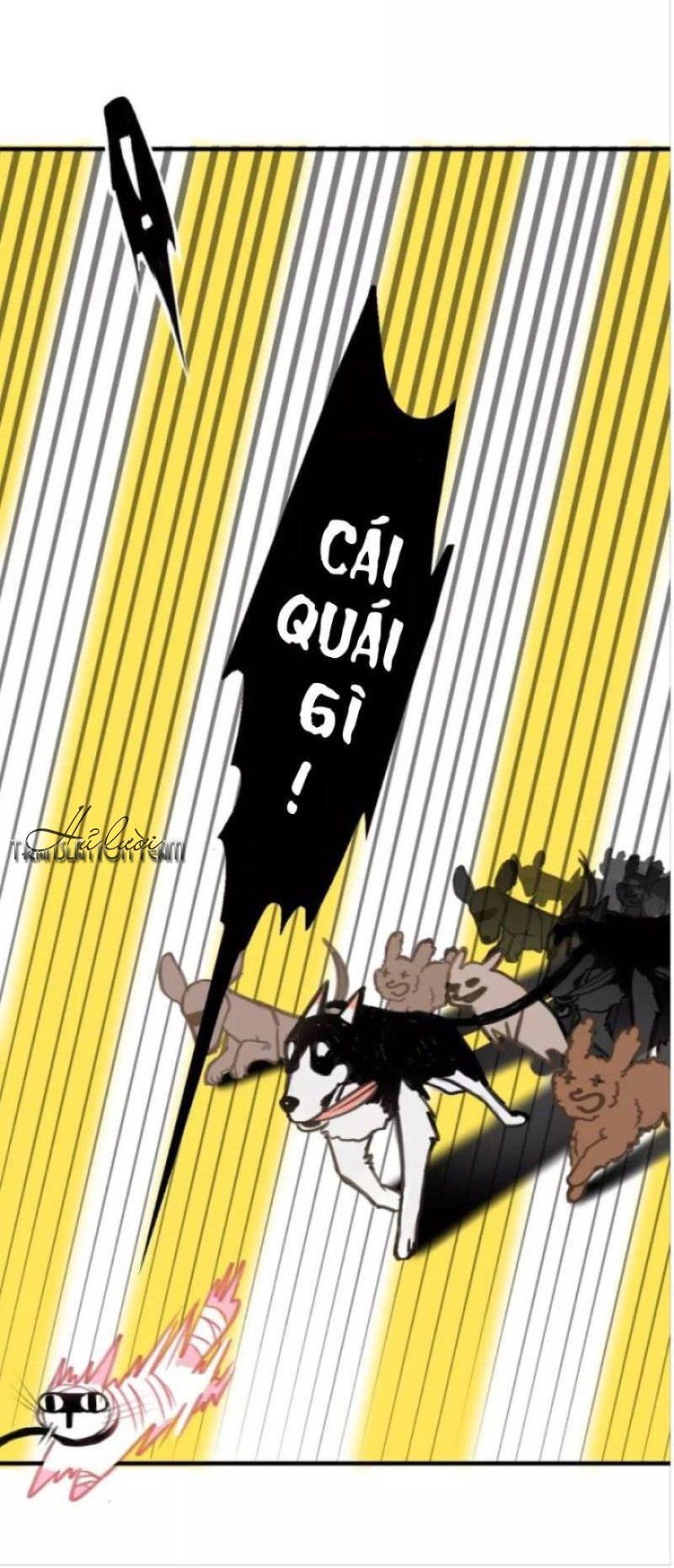 Thế giới của một chú mèo Chapter 5 - Trang 2
