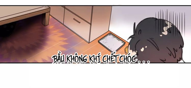 Thế giới của một chú mèo Chapter 2 - Trang 2
