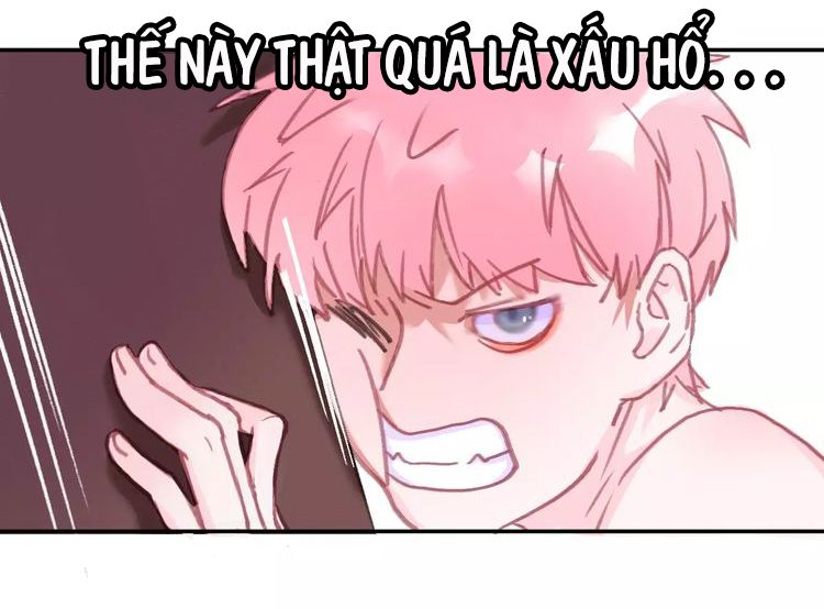 Thế giới của một chú mèo Chapter 2 - Trang 2