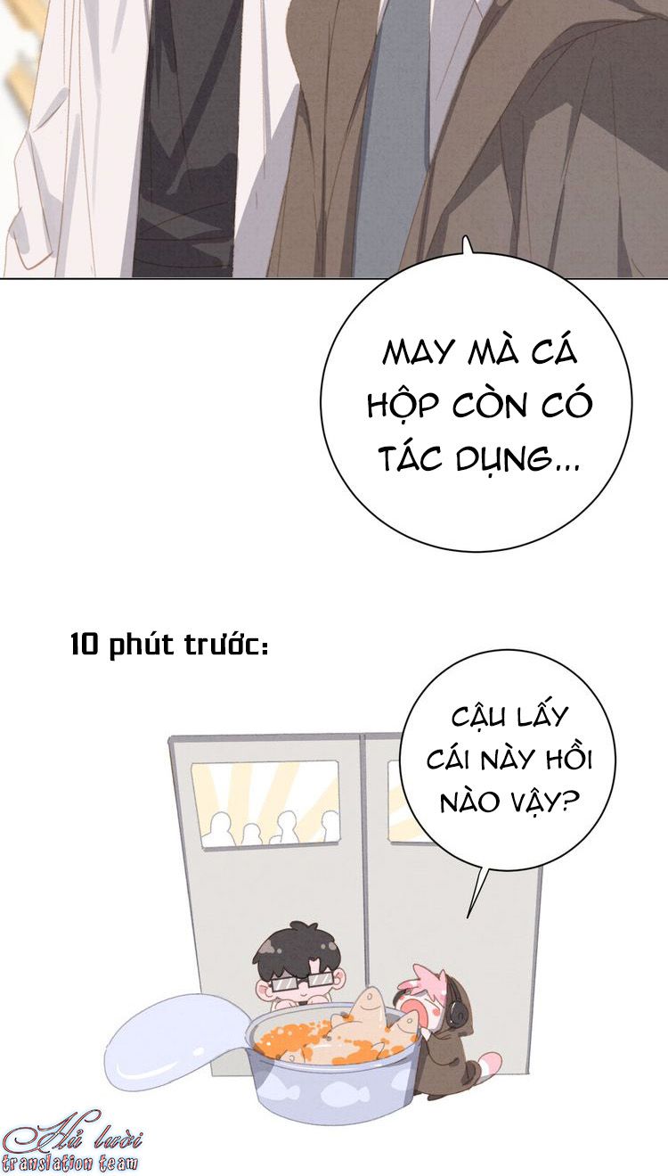 Thế giới của một chú mèo Chapter 20 - Trang 2