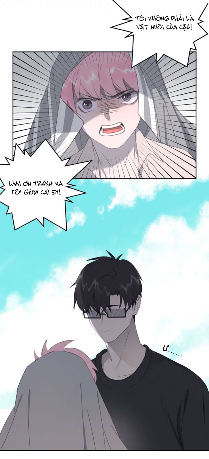 Thế giới của một chú mèo Chapter 11 - Trang 2