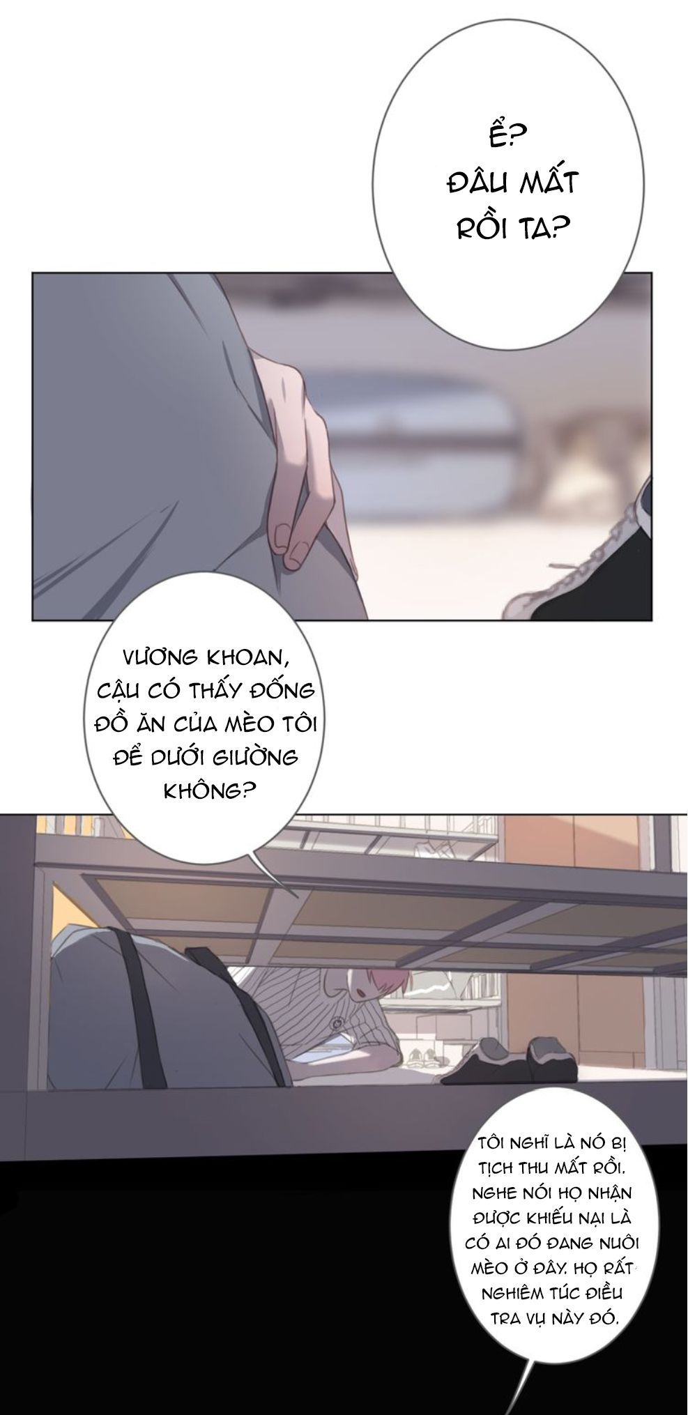 Thế giới của một chú mèo Chapter 13 - Trang 2