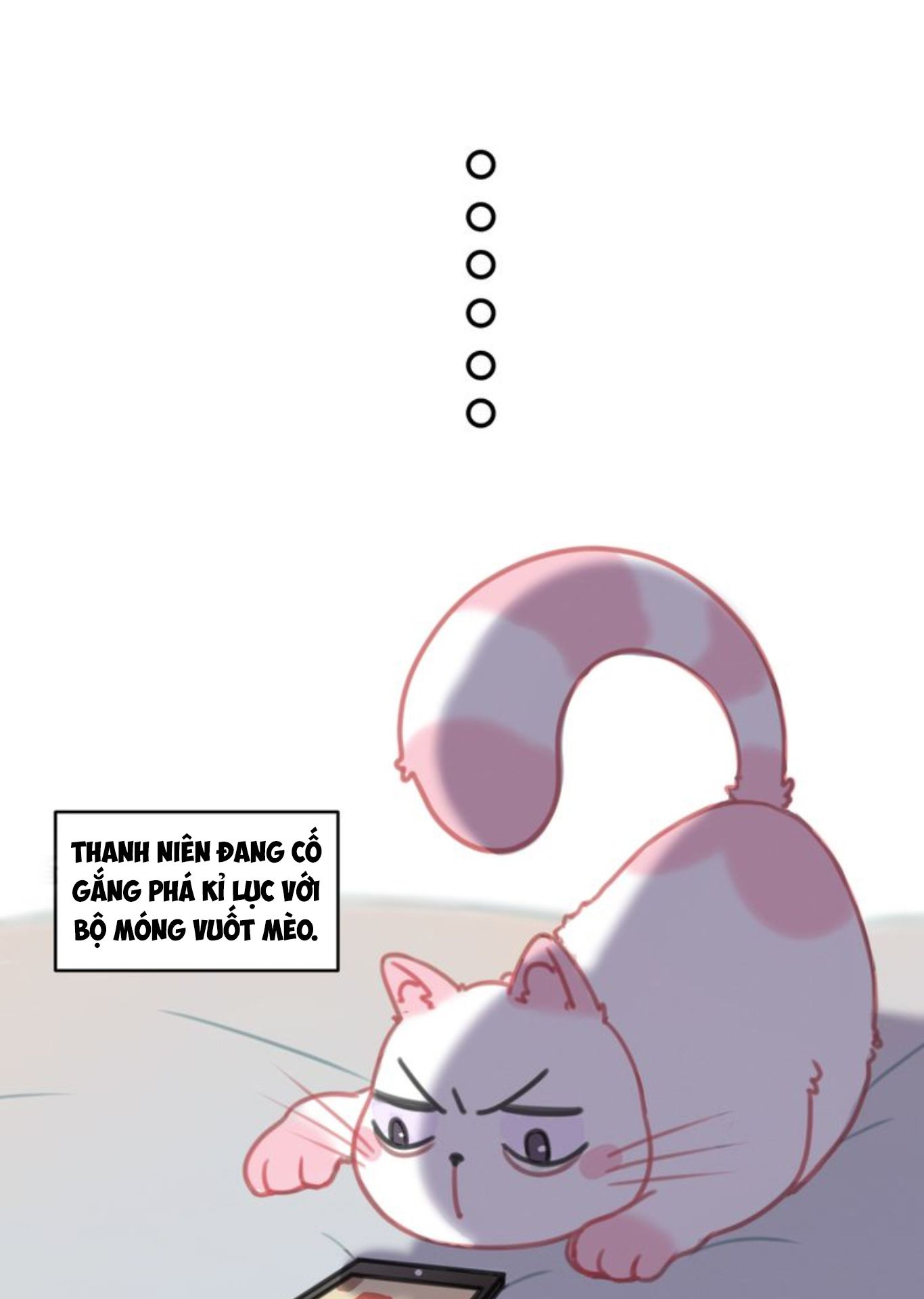 Thế giới của một chú mèo Chapter 8 - Trang 2