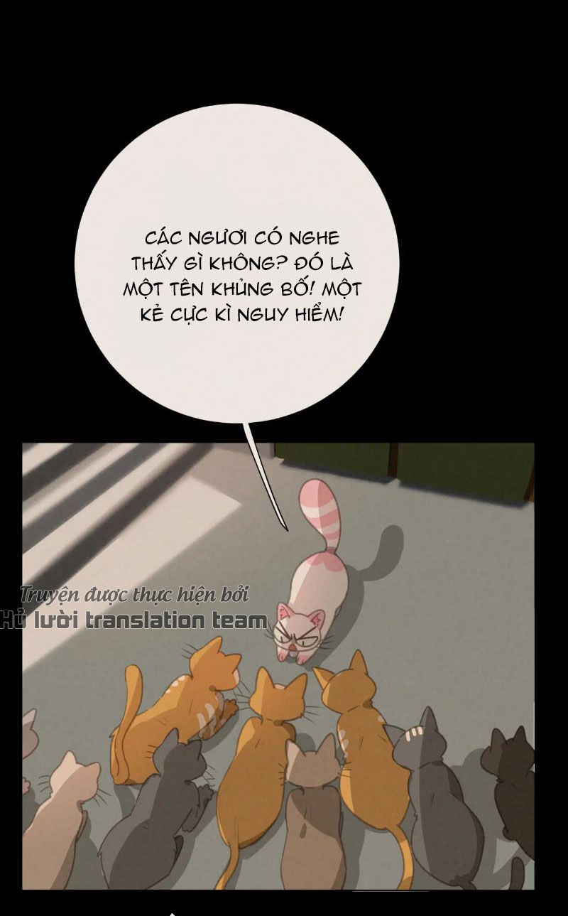 Thế giới của một chú mèo Chapter 27 - Trang 2