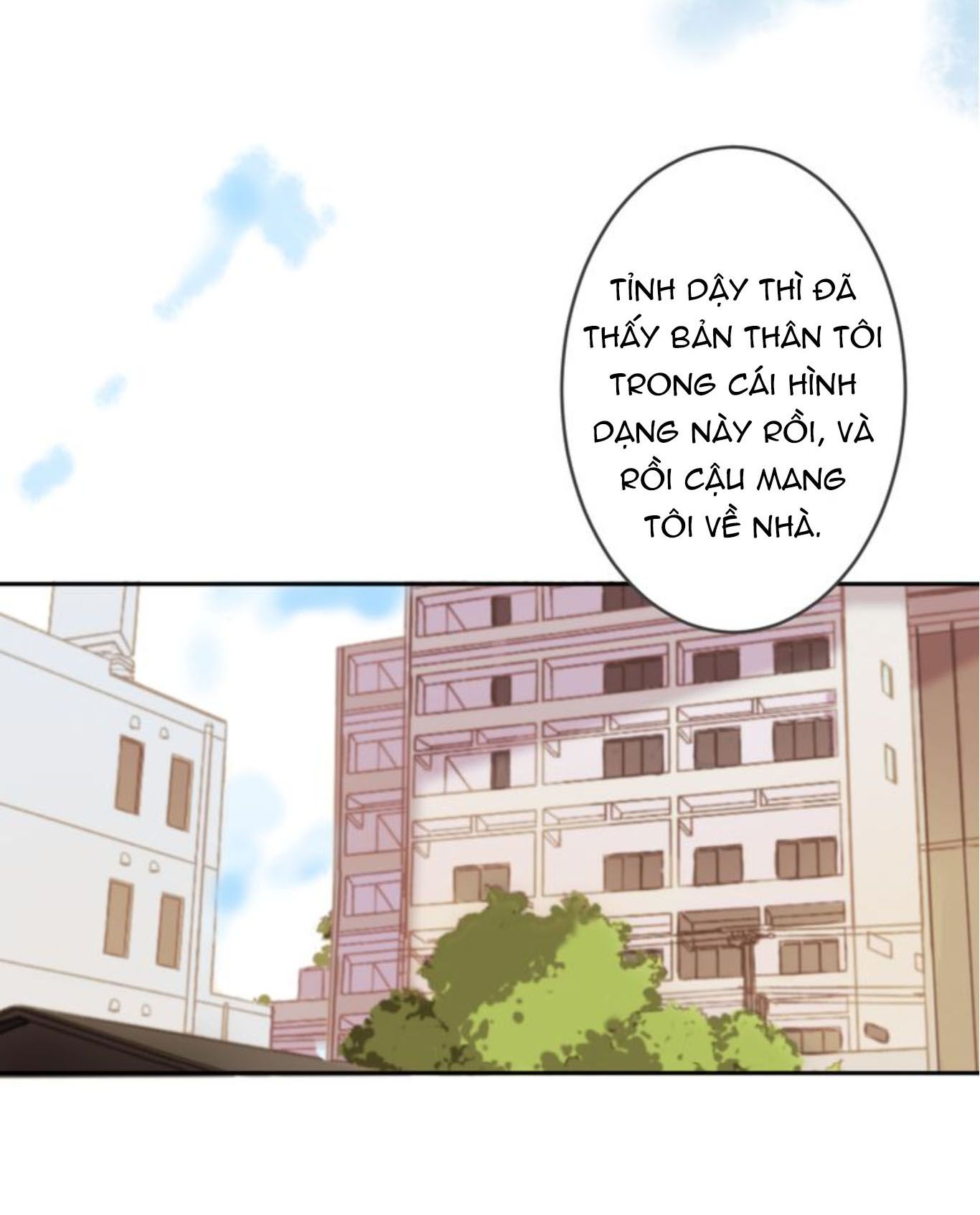 Thế giới của một chú mèo Chapter 7 - Trang 2