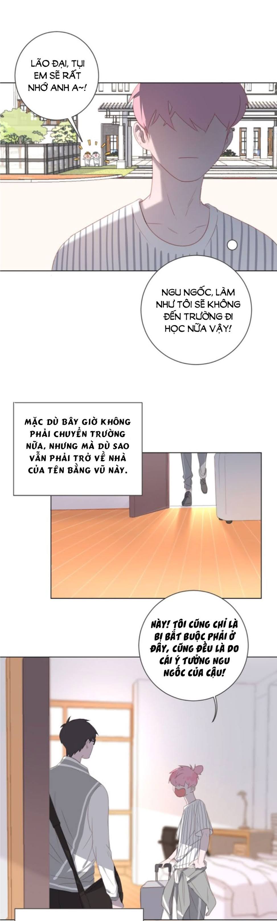 Thế giới của một chú mèo Chapter 15 - Trang 2